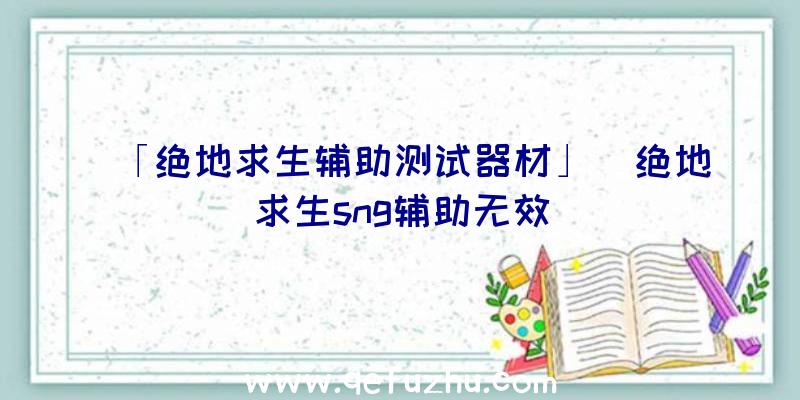 「绝地求生辅助测试器材」|绝地求生sng辅助无效